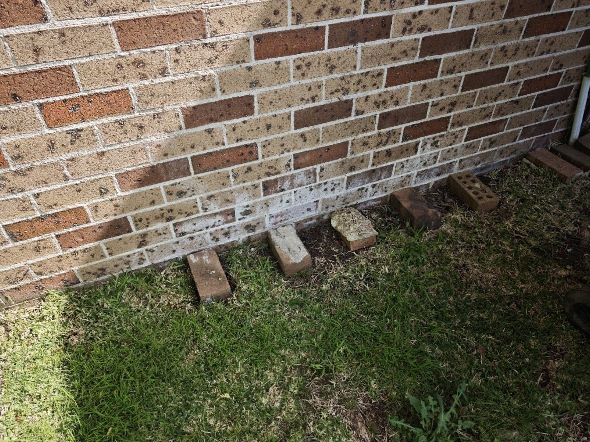 Efflorescence Campsie